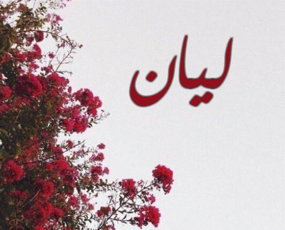 اسم ليان مزخرف بالورد3
