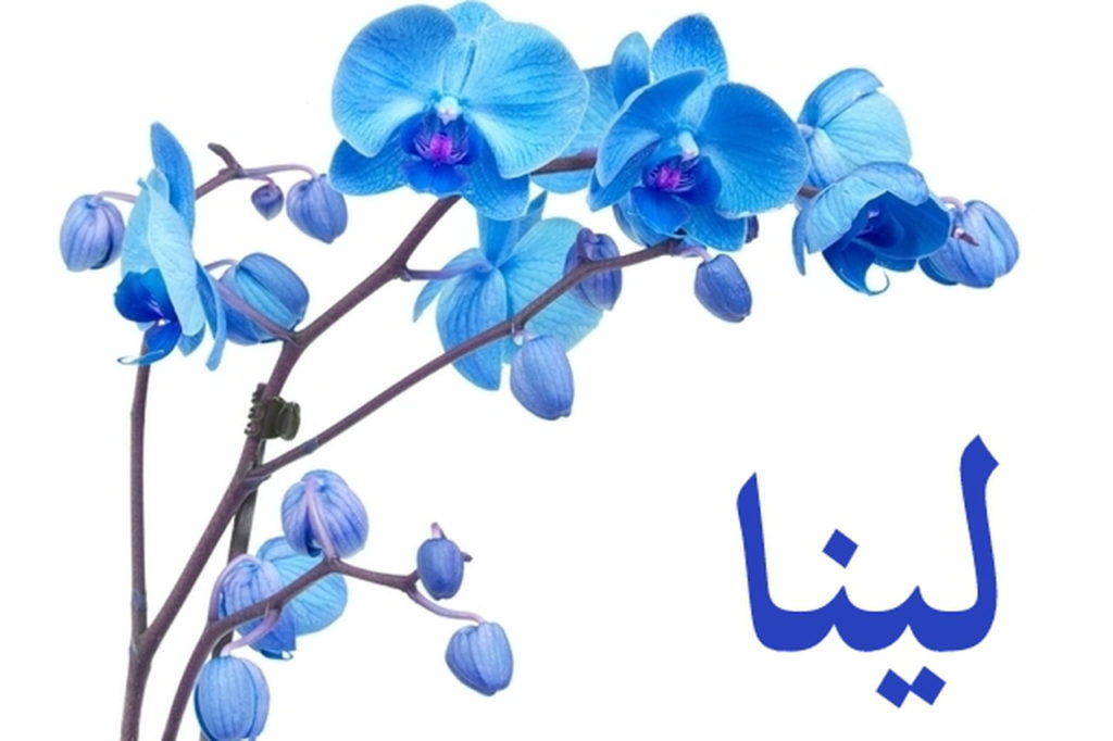 زخرفة اسماء