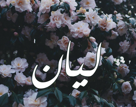 اسم ليان مزخرف بالورد4