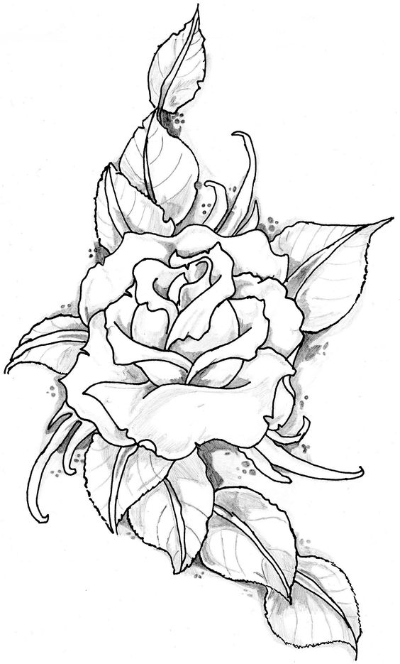 رسومات ورود للتلوين للكبار 2