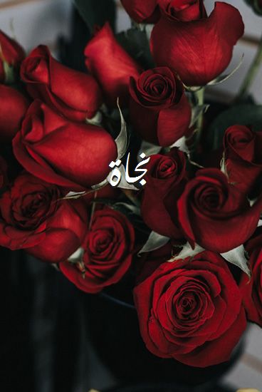 دلع اسم نجاة
