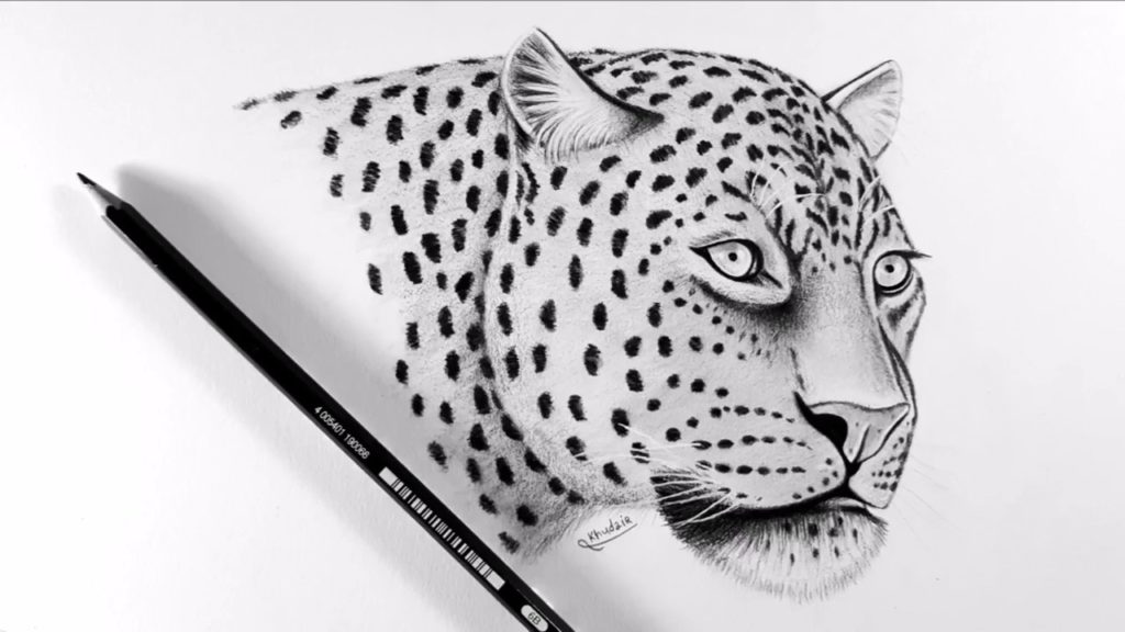 رسم نمر بالرصاص 2