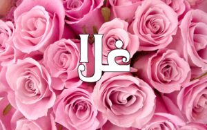 زخرفة اسم غلا