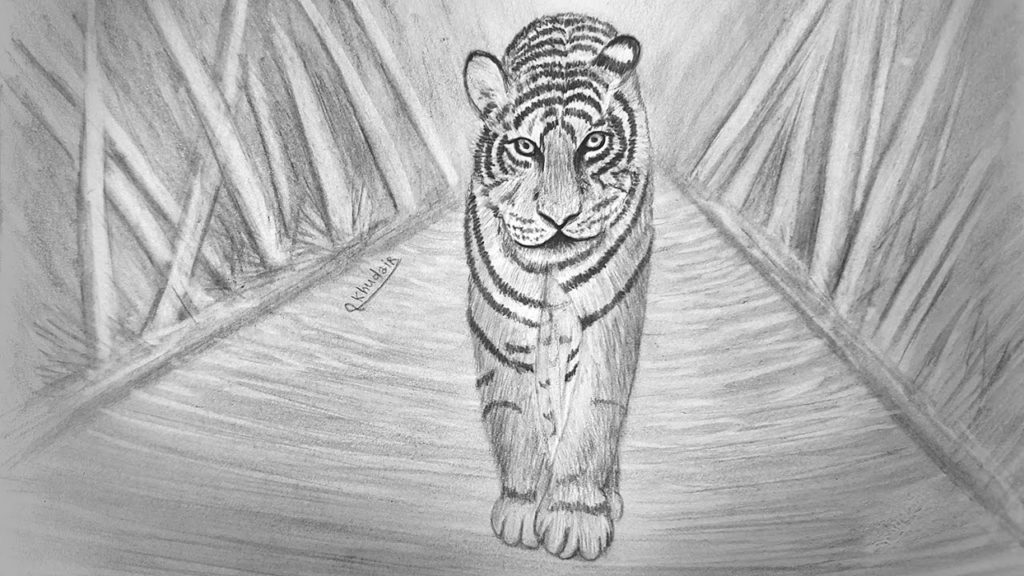 رسم نمر بالرصاص 3