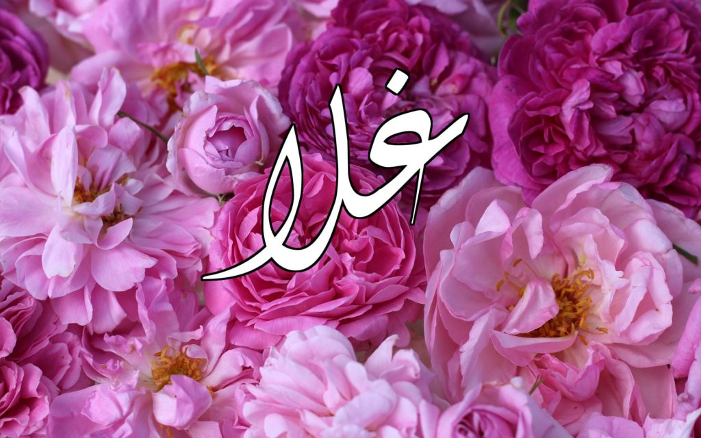 اسم غلا توبيك