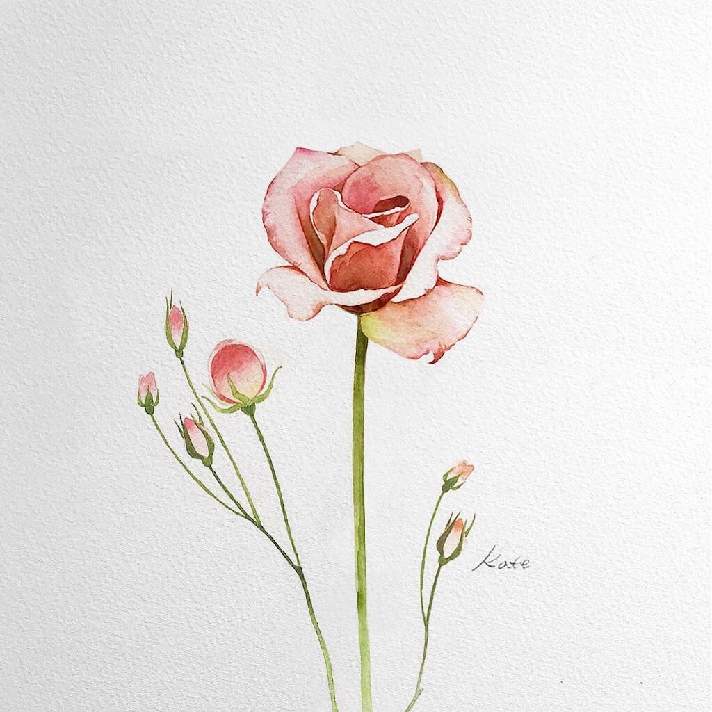 رسومات أزهار ملونة 6