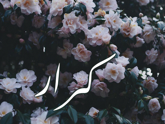 اسم كرار مزخرف عربي