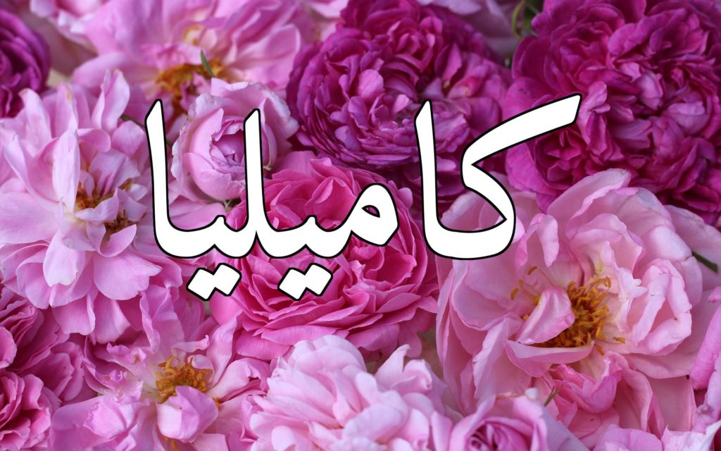 دلع اسم كاميليا