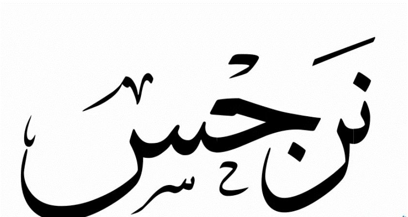 اسم نرجس بالصور1