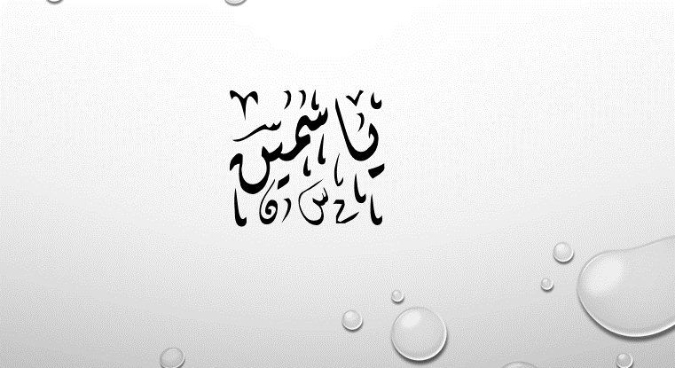دلع اسم ياسمين
