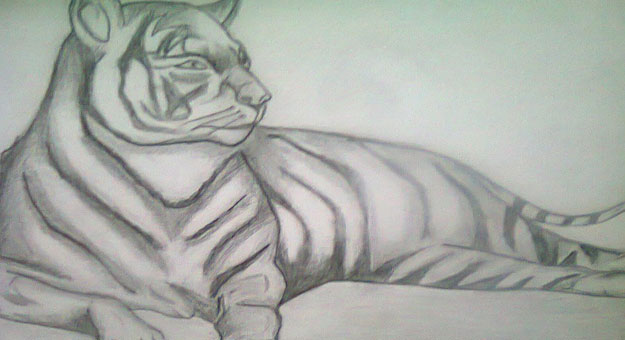 رسم نمر بالرصاص 4