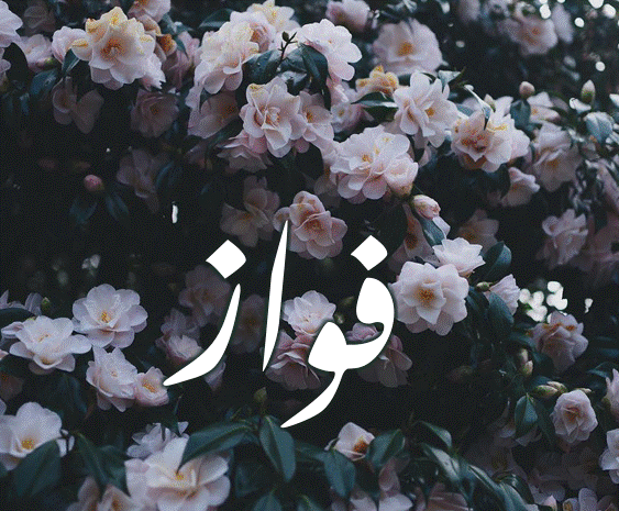 دلع اسم فواز