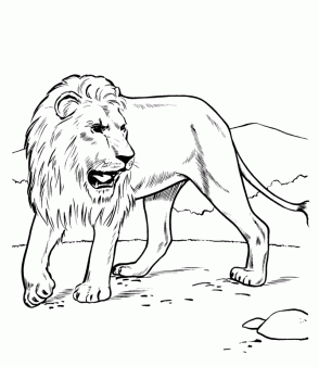 أسد للتلوين 5