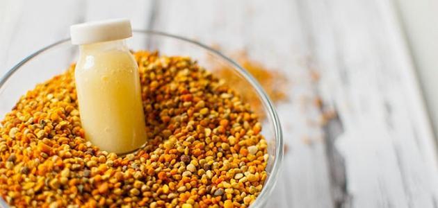 تجربتي مع غذاء ملكات النحل للحمل