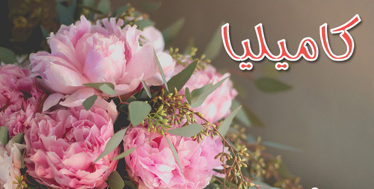 اسم كاميليا بالانجليزي