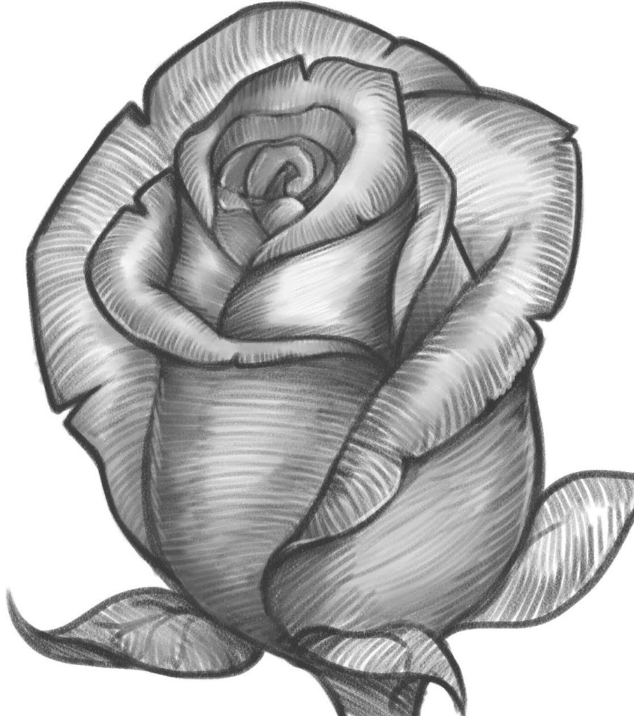 رسومات ورود 4
