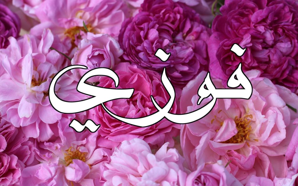 اسم فوز بالانجليزي مزخرف
