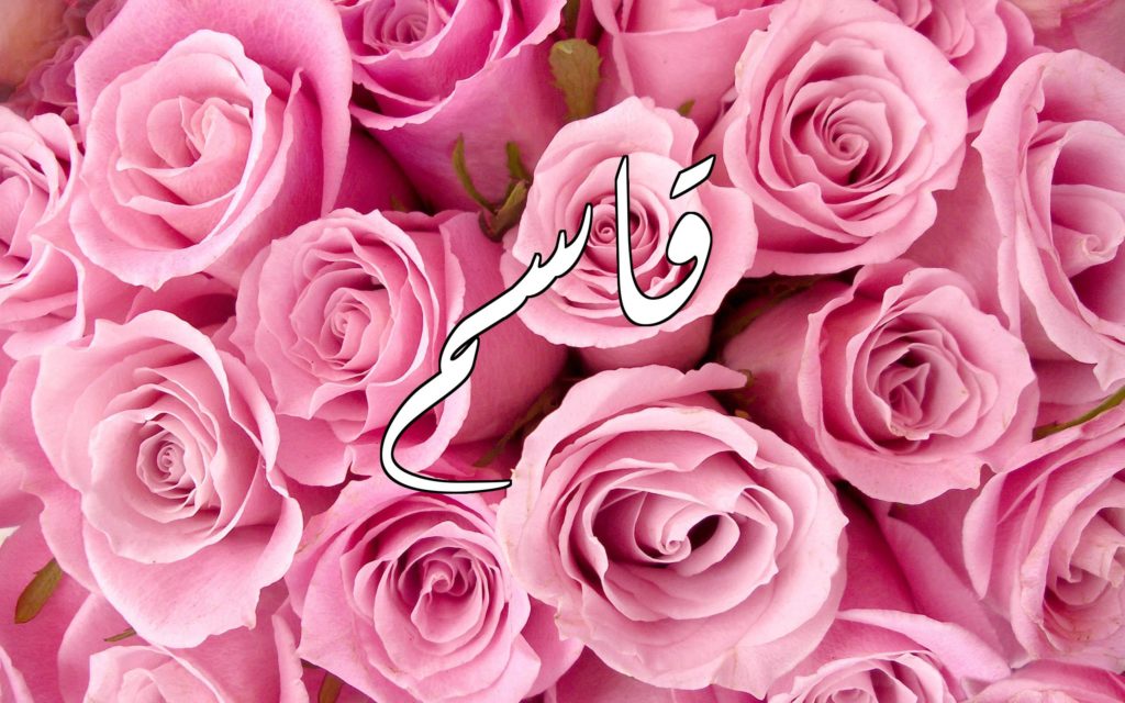 اسم قاسم مزخرف بالورد4