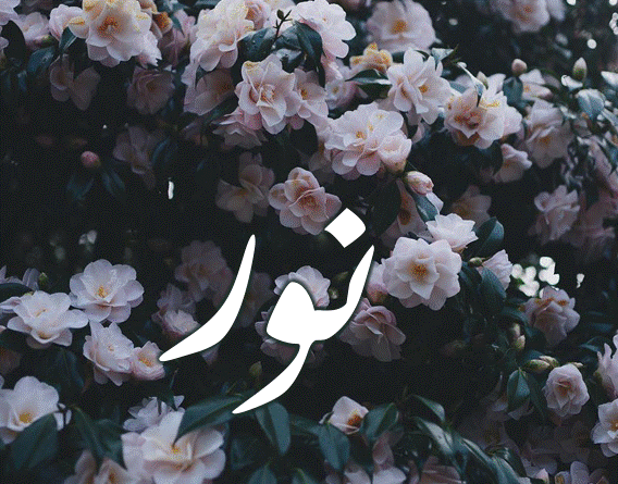 اسم نور مزخرف بالورود3