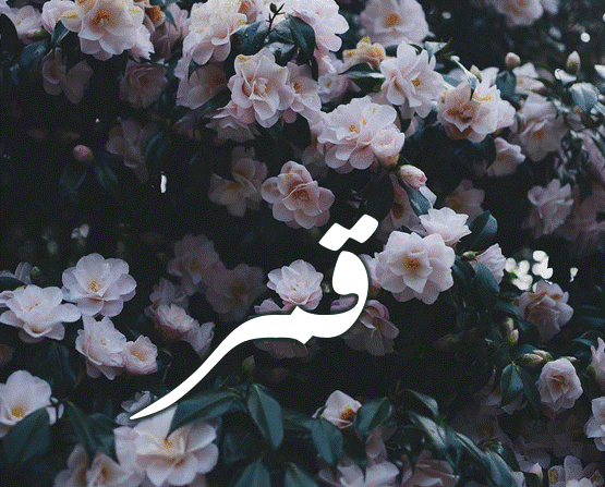 صفات اسم قمر