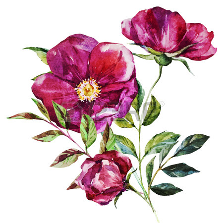 رسومات ورود ملونة للطباعة 6