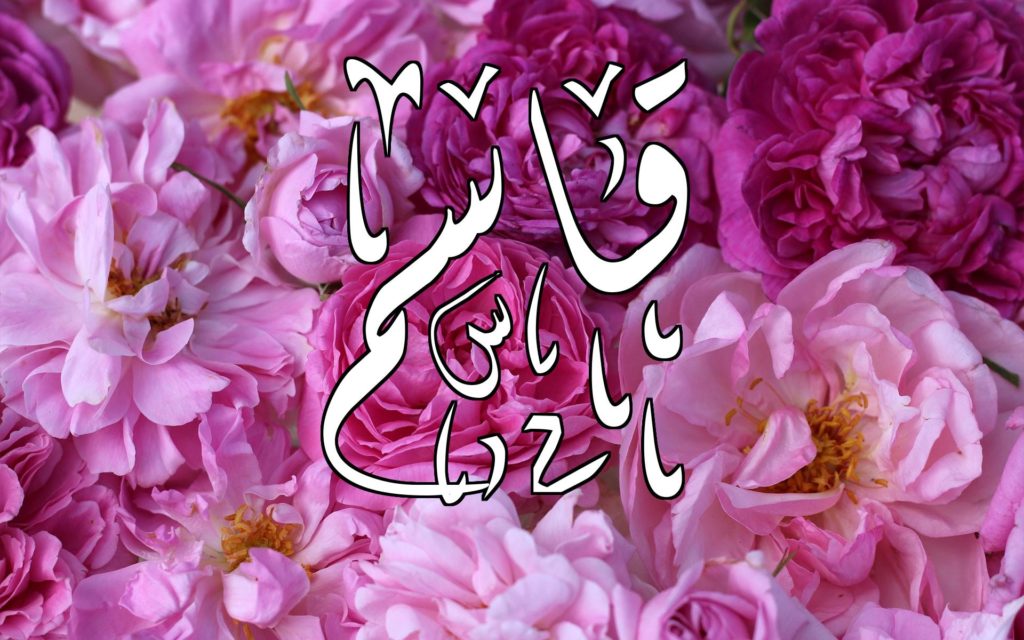 اسم قاسم مزخرف بالورد5