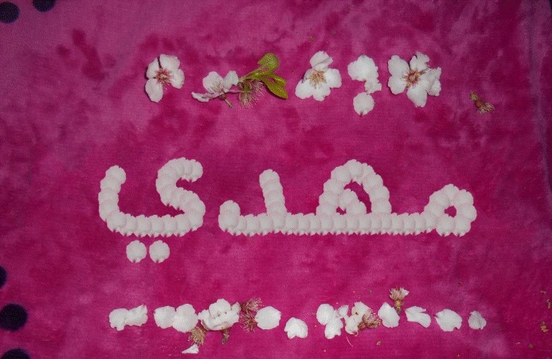اسم مهدي في صور4