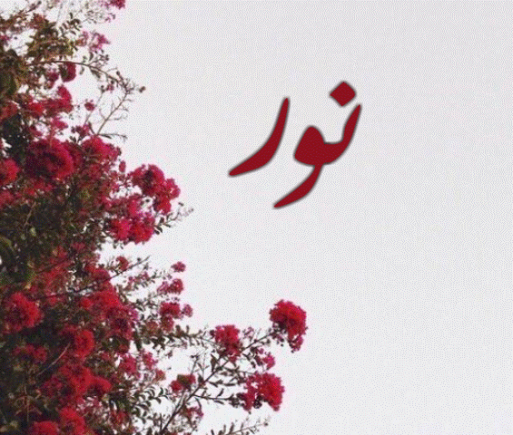 اسم نور مزخرف بالورود1