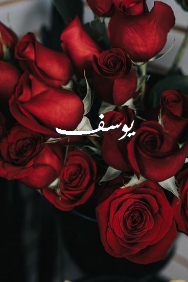 اسم يوسف مزخرف بالورد2