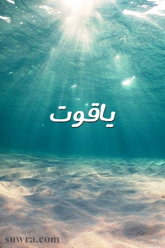 اسم ياقوت بالصور3