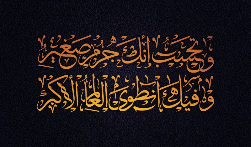 زخرفة جمل