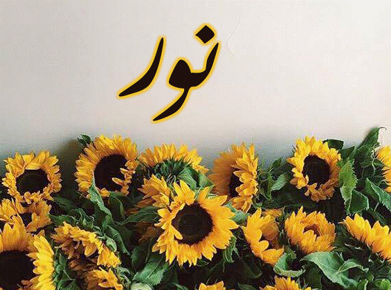 اسم نور مزخرف بالورود2