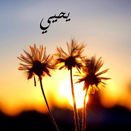 اسم يحيى بالصور2