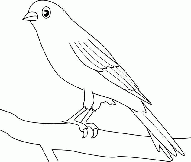 كراس تلوين الحيوانات 2