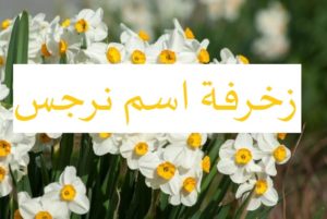 زخرفة اسم نرجس