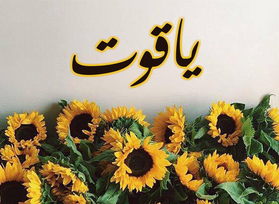 اسم ياقوت بالصور5