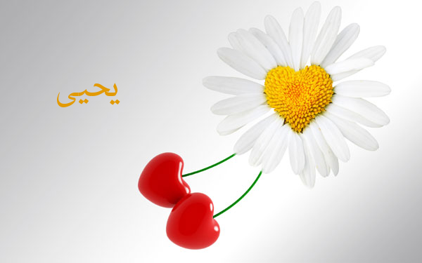 اسم يحيى بالصور3