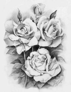 رسومات للتلوين ورود وازهار