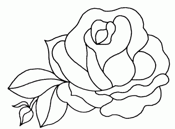 رسومات للتلوين ورود وازهار1