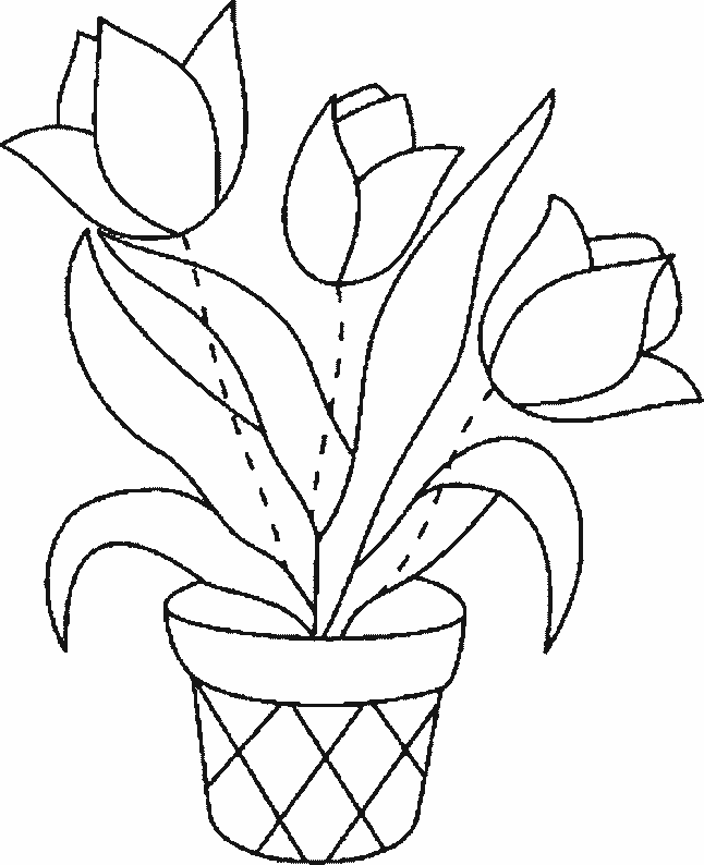 رسومات تلوين نباتات1
