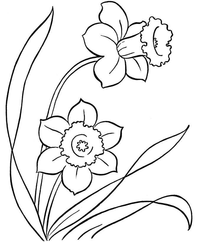 رسومات تلوين ورود6