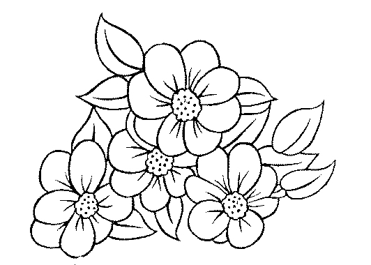 رسومات للتلوين ورود وازهار3