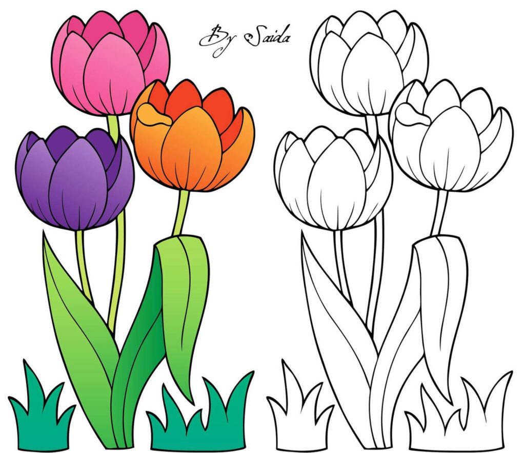 رسومات للتلوين مع النموذج4