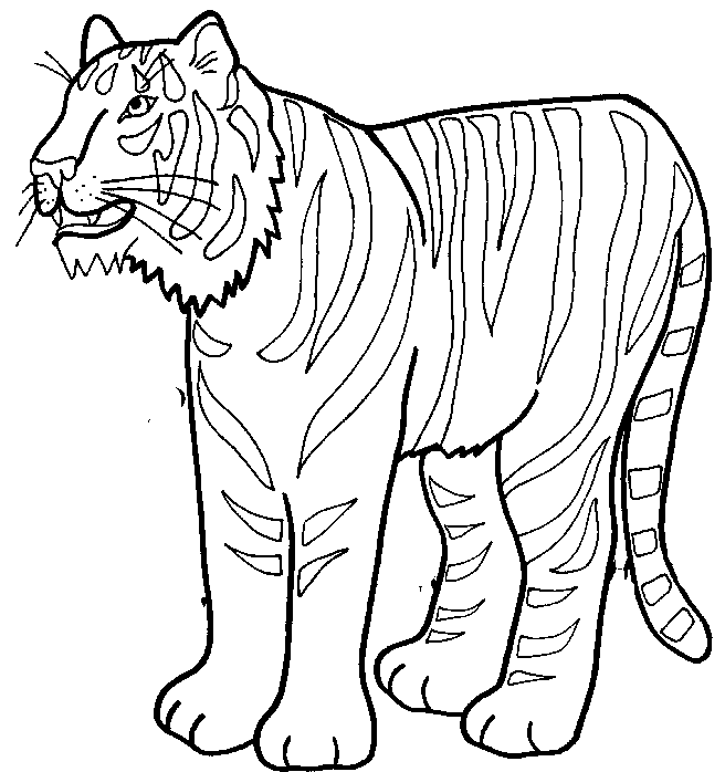 رسومات تلوين نمر 4