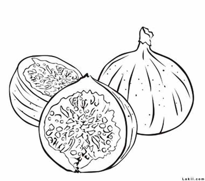 رسومات غلال للتلوين5