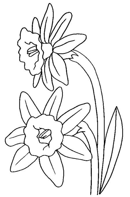 رسومات ورود مفرغة 4