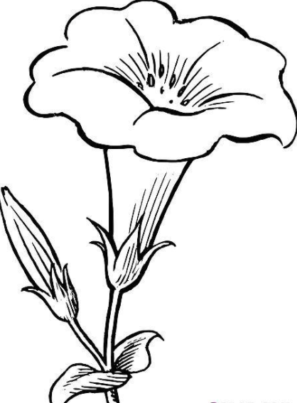 رسومات ورود مفرغة 1