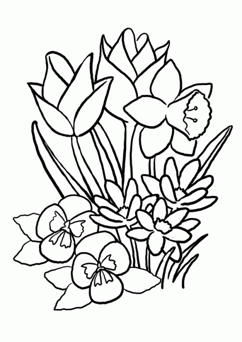 رسومات تلوين ورود5