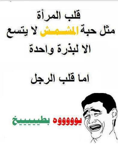 نكت بلهجه سعوديه8