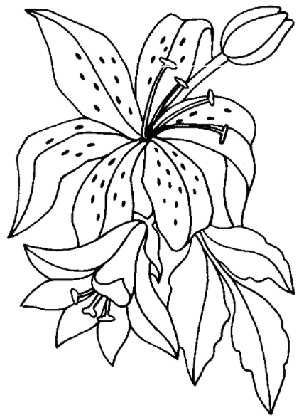 رسومات ورود مفرغة 2